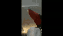 a red parrot is standing on top of a person 's head in a living room .