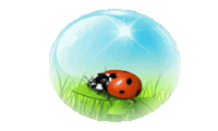 a ladybug is sitting on a green leaf in a clear bubble