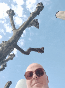 a man wearing sunglasses is looking up at a tree branch