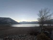 a lake with mountains in the background and a few trees in the foreground