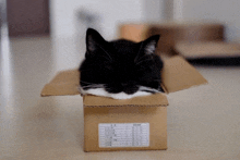 a black and white cat is laying in a cardboard box with a label on it that says " name "