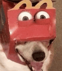 a dog is wearing a red mcdonald 's box on its head .