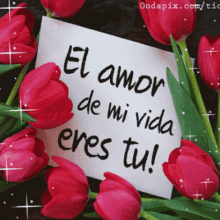 a sign that says el amor de mi vida eres tu is surrounded by red tulips