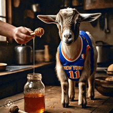 a goat wearing a new york 11 jersey