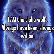 a picture of a wolf that says i am the alpha wolf