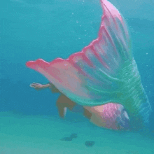 a woman in a mermaid costume is swimming underwater .