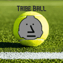 a tennis ball with a pixelated face and the words " tribe ball " on the bottom