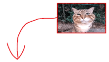 a drawing of a cat with a red arrow pointing down