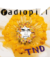 a drawing of a flower with a man 's face and the words radiopi tnd on it