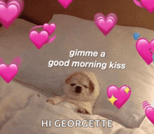 a picture of a dog laying in bed with hearts around it and the words " gimme a good morning kiss hi georgette "