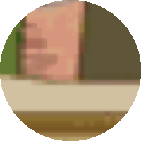 a blurry picture of a person 's face in a circle