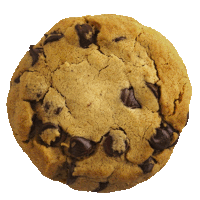 a close up of a chocolate chip cookie with a white background