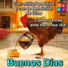 a rooster is pouring coffee into a cup on a table with the words buenos dias below it