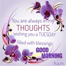 you are always in my thoughts wishing you a tuesday filled with blessings good morning h.a.m.