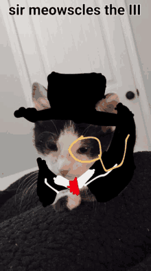 a black and white cat wearing a top hat and tie