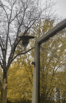 a bird is perched on a tree branch behind a screen door