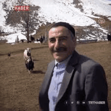 a man in a suit and hat is standing in a field with goats and smiling .