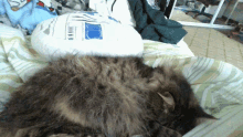 a cat laying on a bed next to a pillow that looks like r2d2 from star wars