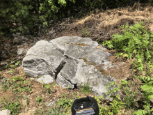 a large rock in the middle of a lush green forest with a black container in front of it