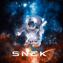 a picture of an astronaut in space with the word snek on the bottom