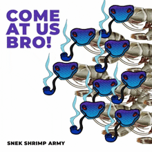 a poster that says ' come at us bro ' and ' snek shrimp army ' on it