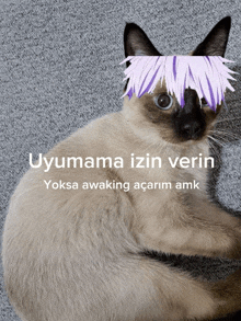 a cat with purple hair on its head and the words uyumama izin verin on the bottom