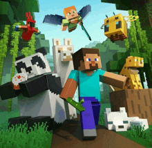 a group of minecraft characters including a panda bear