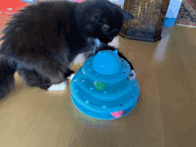 a black and white cat is playing with a blue toy on the floor