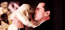 Puppy Kisses The Office GIF