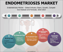 a diagram of the endometriosis market shows the various types of treatments