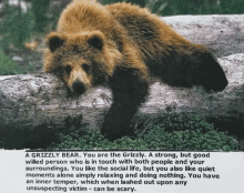 a grizzly bear is laying on a log with a description of the bear