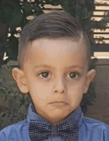 a young boy wearing a blue shirt and a bow tie .