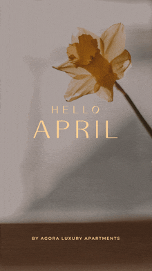 a poster with a flower and the words hello april