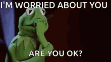 kermit the frog is covering his mouth with his hand and says `` i 'm worried about you are you ok '' .