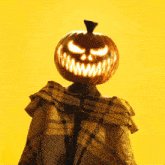 a person with a pumpkin on their head and a plaid poncho