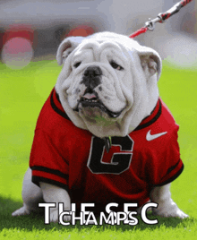 a bulldog wearing a red nike shirt with the letter g on the front