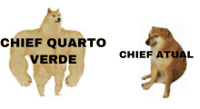 a picture of a dog with the words chief quarto verde and chief atual