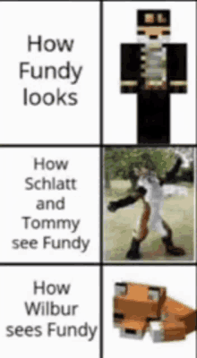 how fundy looks , how schlatt and tommy see fundy , and how wilbur sees fundy