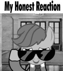 a picture of a pony wearing sunglasses with the words my honest reaction above it