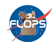 a picture of a cat with the word flops written on it