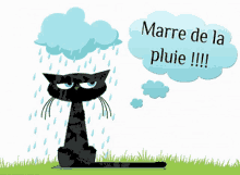 a black cat sitting in the rain with a thought bubble that says marre de la pluie