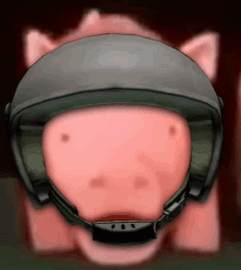 a picture of a pig wearing a helmet with a red background