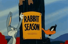 bugs bunny and daffy duck are standing next to a tree holding a sign that says rabbit season .