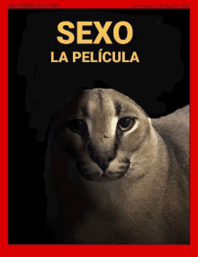 a poster for a movie called sexo la pelicula