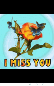 a picture of a rose and butterflies with the words i miss you