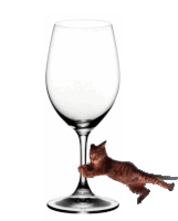 a kitten is playing with a wine glass on a white background