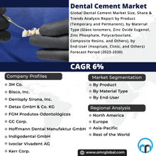 a poster for the dental cement market shows the company profiles and the market segmentation