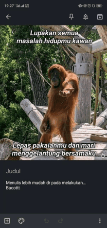 a picture of an orangutan with a caption that says lupakan semua masalah hidupmu kawan