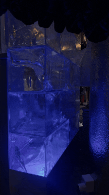 a dark room with a blue light shining on a container of water