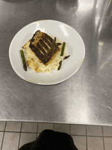 a plate of food with asparagus and rice on a metal table